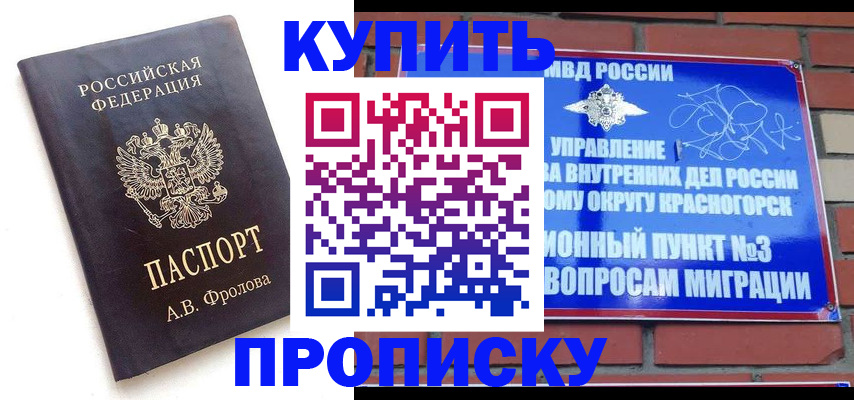 прописка поиск в Вольске